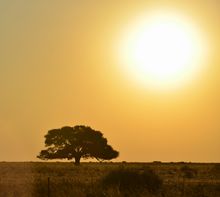 Próximas Actividades: